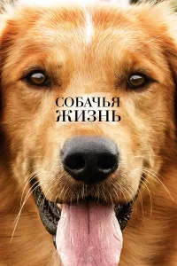 Собачья жиЗнь